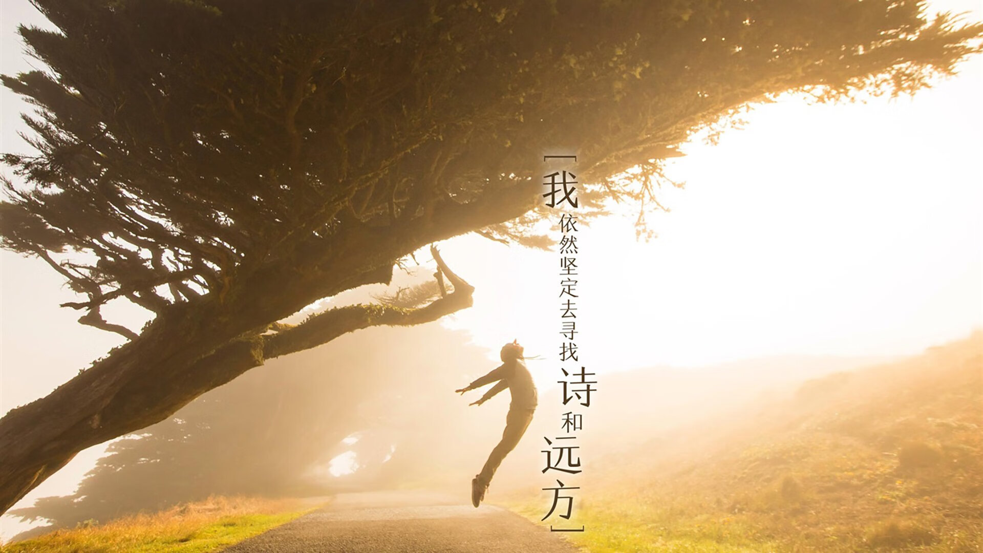 无线通信传输技术包括（无线通信传输技术包括什么）
